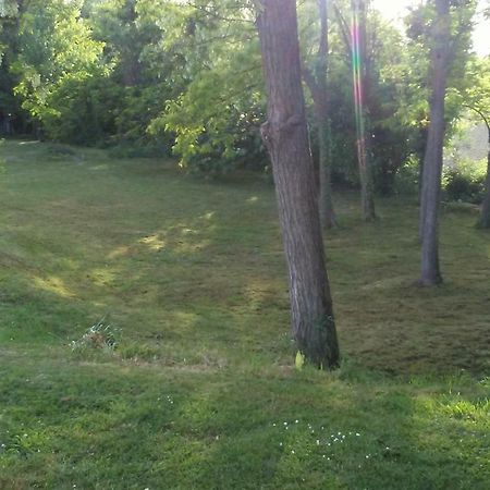 Sant'Elena di Silea Bed And Breakfast Sile E Natura المظهر الخارجي الصورة