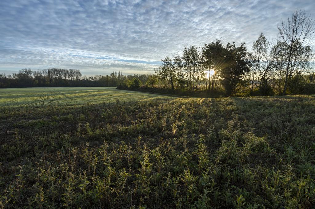 Sant'Elena di Silea Bed And Breakfast Sile E Natura المظهر الخارجي الصورة