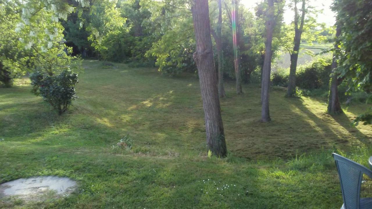 Sant'Elena di Silea Bed And Breakfast Sile E Natura المظهر الخارجي الصورة