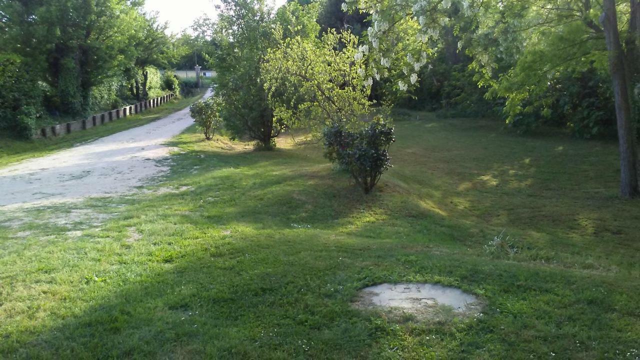 Sant'Elena di Silea Bed And Breakfast Sile E Natura المظهر الخارجي الصورة